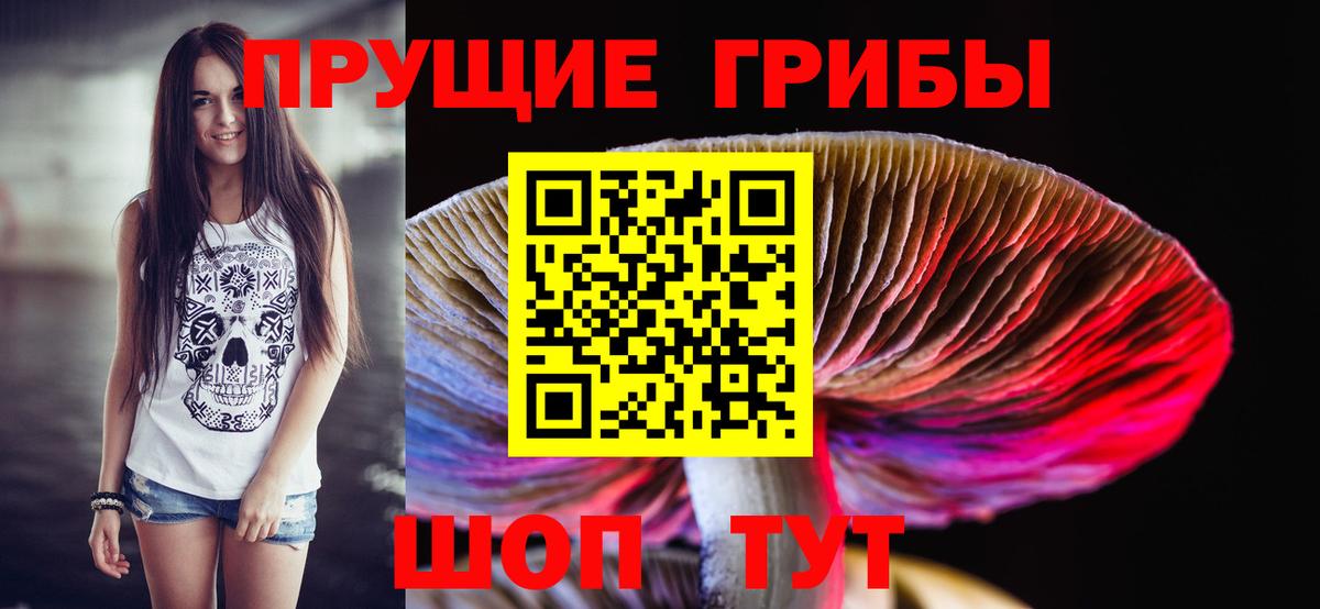 Каменск-Уральский  Псилоцибиновые грибы ЛСД  как найти закладки  Вход с VPN 